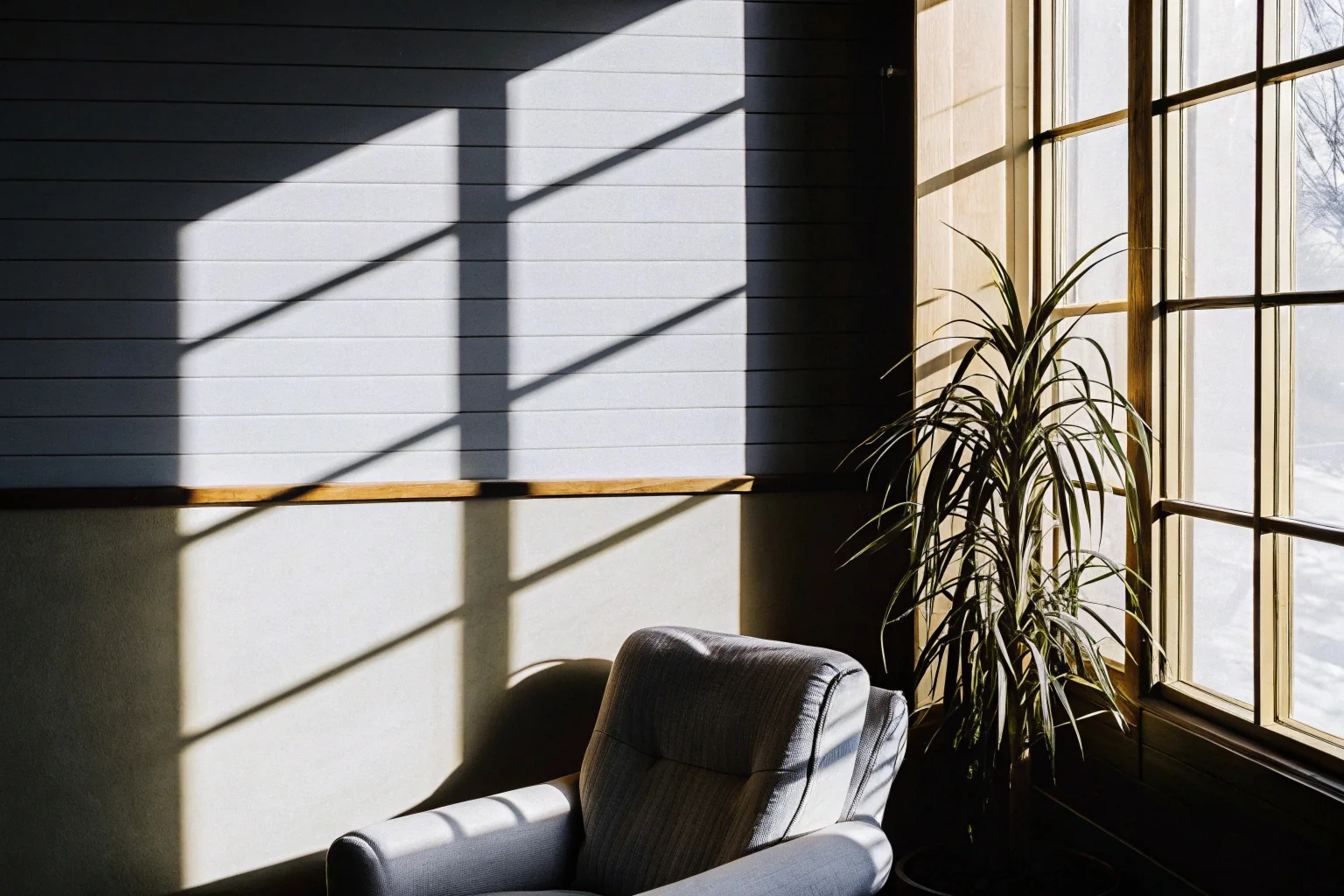 Sala de atendimento com poltrona e planta ao lado da janela