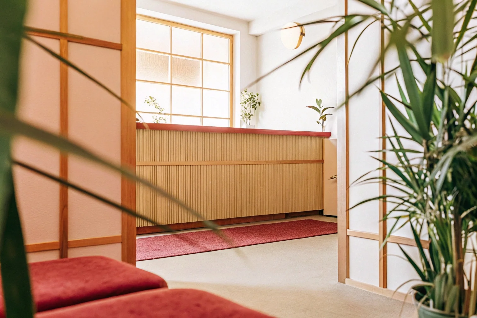 Recepção do consultório com plantas e luz natural